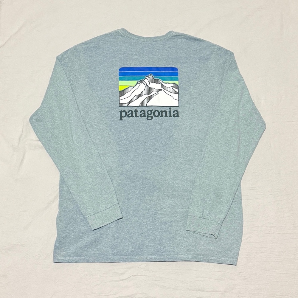 Patagonia Heather Blue Graphic Long Sleeve